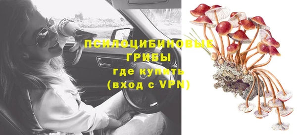 ПСИЛОЦИБИНОВЫЕ ГРИБЫ Навашино