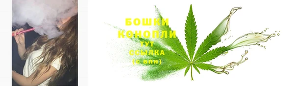 молекула духа Наволоки