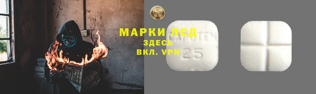молекула духа Наволоки