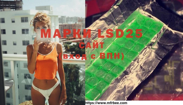 ПСИЛОЦИБИНОВЫЕ ГРИБЫ Навашино